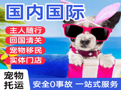 宜春明月山航空快运国际宠物托运 【国